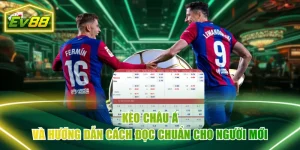 Kèo Châu Á Và Hướng Dẫn Cách Đọc Chuẩn Cho Người Mới